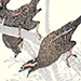 Hokusai Katsushika Gallery